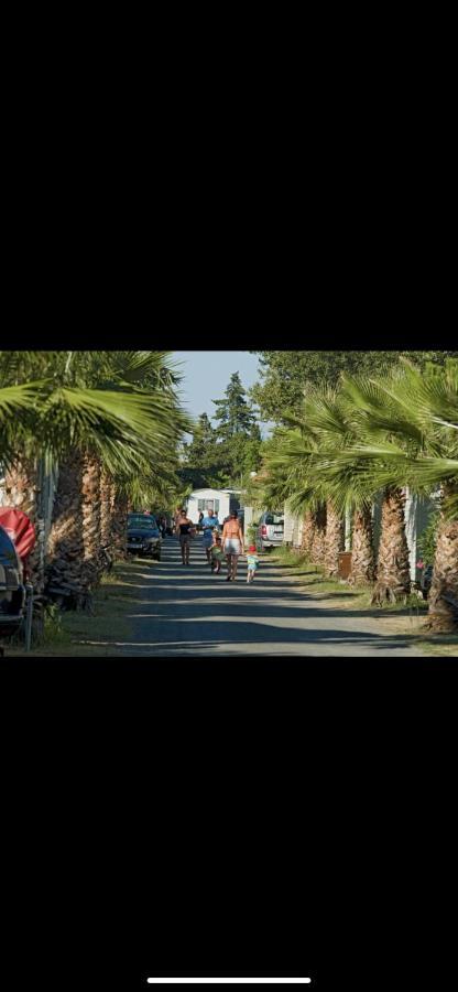 Camping 4 Etoiles Le Bosc Saint Cyrpien Mobil Home Eksteriør billede
